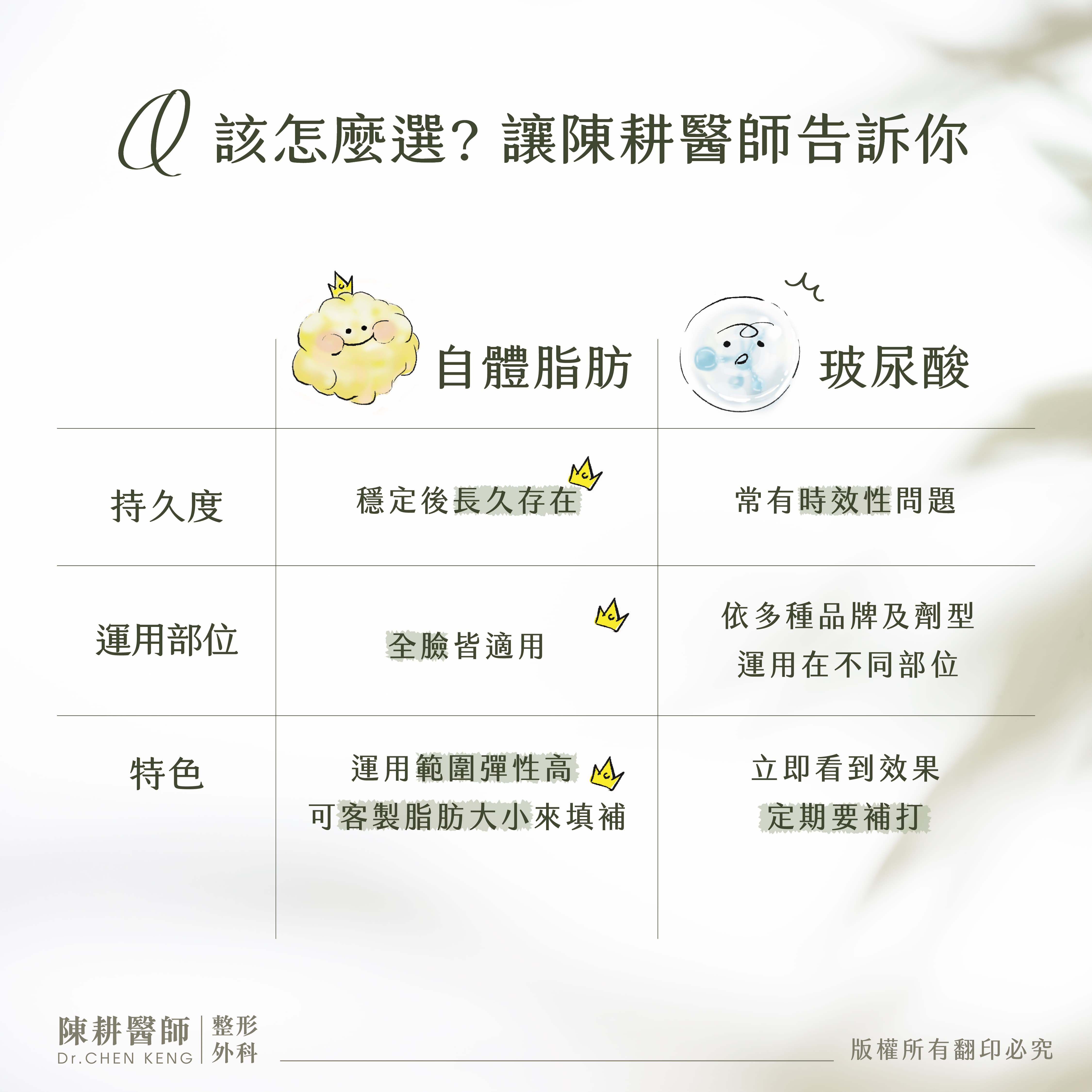 自體脂肪玻尿酸比較